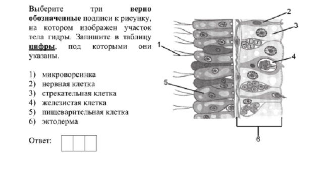 Кракен сайт магазин